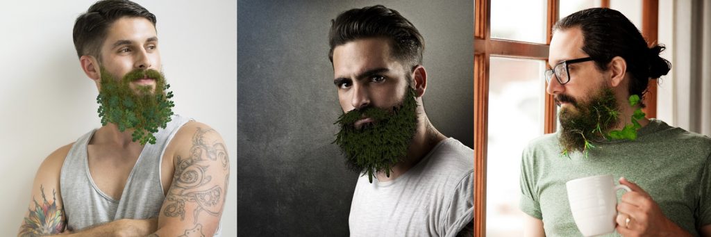 Cultivar plantas en la barba, última tendencia hipster